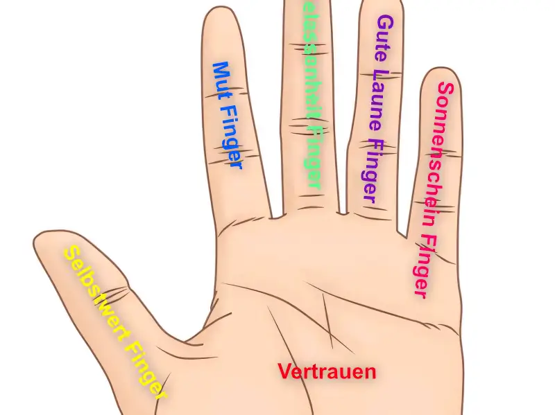 Eine gezeichnete Hand auf deren Finger die Bedeutung der einzelnen Finger beschriftet ist